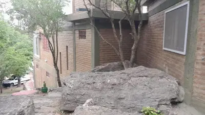 a tree in a rock in front of a building at Complejo de cabañas el Winon in Cuesta Blanca