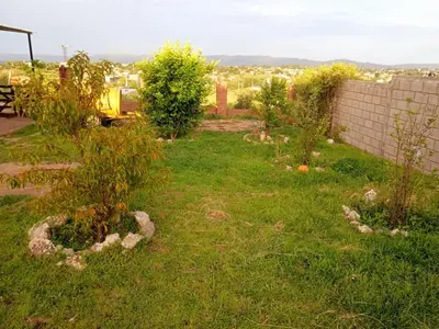 a yard with some plants in the grass at Brisas de las Sierras in Tanti
