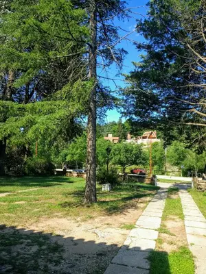 a walkway in a park with a tree at Fermina in Villa Icho Cruz