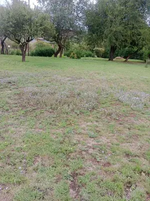 a field of grass with trees in the background at Casa Los Hornillos in Los Hornillos
