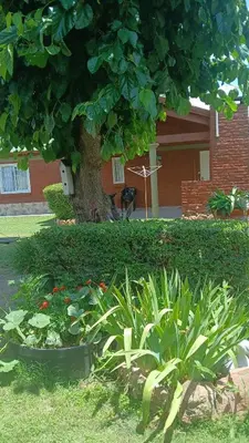 a garden with plants in front of a tree at Cabañas LAS AMELIAS in Villa Cura Brochero
