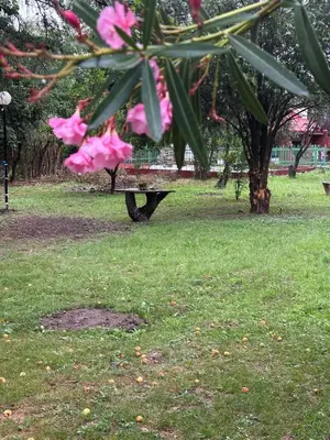 a park with a bench and pink flowers in the grass at Kasananda in Villa del Dique