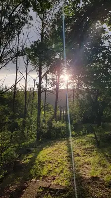 a sun shining through the trees in a field at Casa en Nono a 200 metros del lago in Las Rabonas
