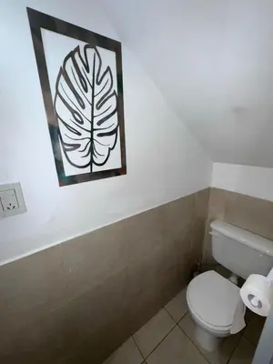 a bathroom with a toilet and a picture on the wall at Dúplex Juncal in Villa Carlos Paz