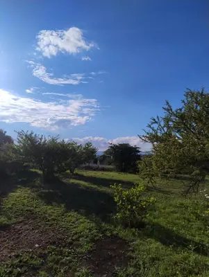 a field with trees and a blue sky with clouds at Las Calandrias II in Los Reartes