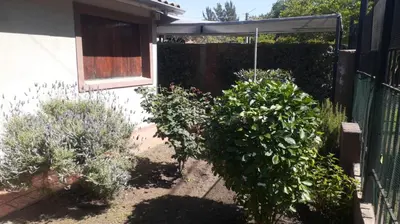 a garden with some bushes and a fence at La Casita de Felipe in Santa Rosa de Calamuchita