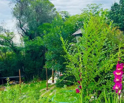 a garden with flowers and a house in the background at Icho's mud house in Villa Icho Cruz