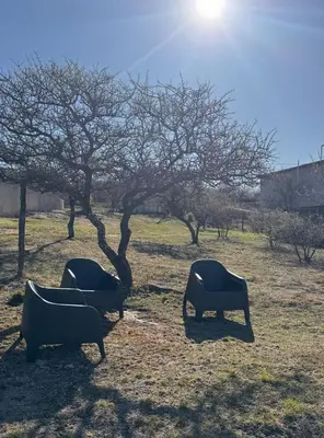 three chairs sitting in a field next to a tree at Balcones del Cristal - Tacuarita in Tanti