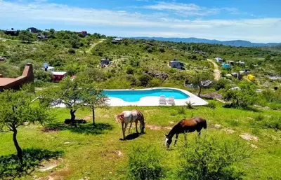 two horses grazing in a field next to a pool at Balcones del Cristal - Tacuarita in Tanti