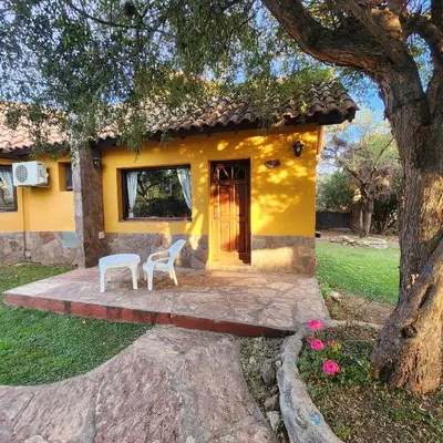 a yellow house with two chairs and a tree at Merlo Trail Lodge in Merlo