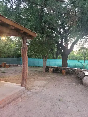 a group of trees and benches in a park at Alma de Algarrobo in San Javier