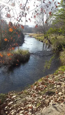 a river with leaves on the side of it at Ensueño Cabañas in Los Reartes
