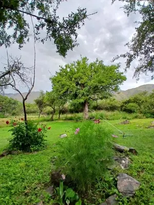 a field of grass with trees and flowers at Torre Fuerte in Cerro de Oro