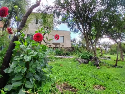 a view of the house from the garden at Torre Fuerte in Cerro de Oro