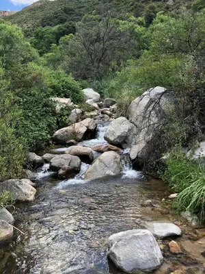 a stream of water with rocks and trees at Kuku hostel in Las Rabonas