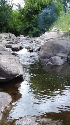 a stream of water with rocks and trees at La casita de Mila in Amboy