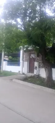 a tree in front of a house with a door at La casita de Mila in Amboy