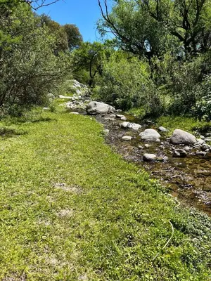 a river with rocks and grass and trees at Iris,Tiny house en Las Calles, Traslasierra in Las Calles