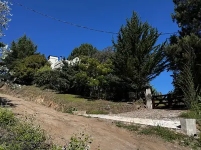 a dirt road with trees and a house in the background at La Morondanga in Villa Yacanto
