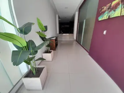 a hallway with two potted plants and a purple wall at Departamento luminoso a 4 cuadras del centro in Río Cuarto