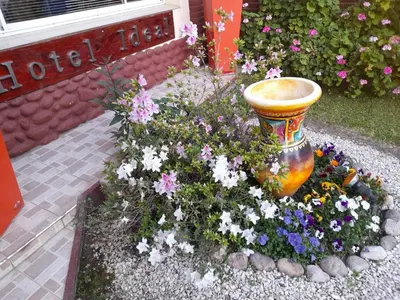 a flower garden with a vase and some flowers at Hotel Ideal vcp in Villa Carlos Paz