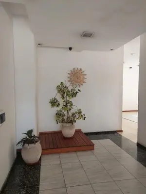 a room with two potted plants on a wooden floor at Mirasol in Villa Carlos Paz