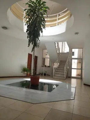 a large potted plant in a large room with stairs at Mirasol in Villa Carlos Paz
