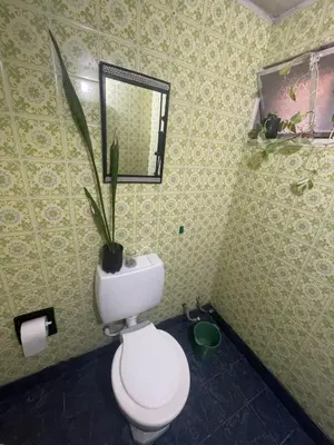 a bathroom with a toilet with a potted plant on it at Alquiler temporario en villa Carlos Paz in Villa Carlos Paz