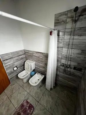 a bathroom with a toilet and a shower at Faroflor departamento in Arroyo de Los Patos