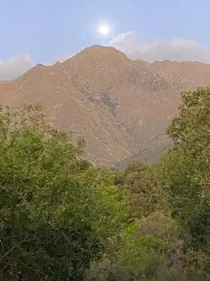 a view of a mountain with trees in front of it at Eco Refugio de Montaña en San Javier, Traslasierra in San Javier