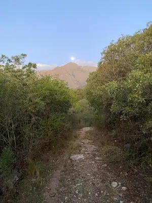 a dirt road with trees and mountains in the background at Eco Refugio de Montaña en San Javier, Traslasierra in San Javier