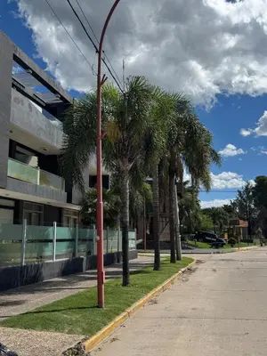 a street light with palm trees in front of a building at Dpto a estrenar Villa Carlos Paz frente a la costanera in Villa Carlos Paz