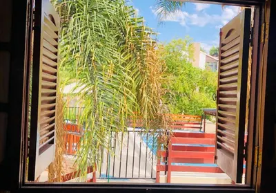 a window view of a stairway with a palm tree at Complejo Albox in Villa Carlos Paz