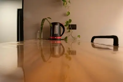 a plant sitting on top of a table at Departamento Córdoba Centro in Cordoba