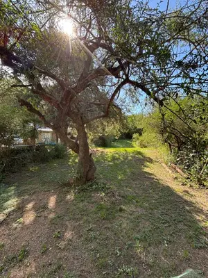 a tree in a field with the sun behind it at Complejo Villa Lago in Villa Carlos Paz