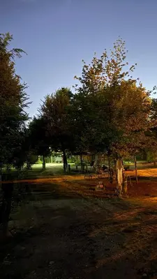 a group of trees in a park with a fence at Complejo de cabañas Munay Ki in Santa Rosa de Calamuchita