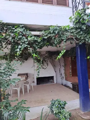 a patio with a table and chairs and plants at Complejo calle Córdoba in Mina Clavero