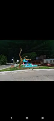 a tree sitting on the side of a street at El Crespín in San Lorenzo