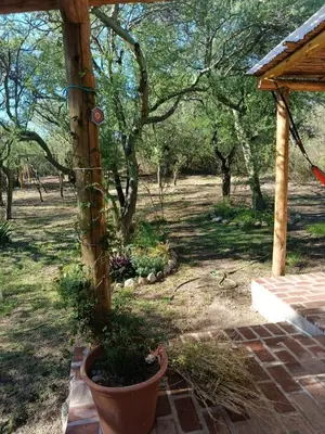 a garden with a wooden pergola and a plant at Chañar in Villa de Las Rosas