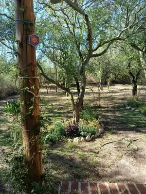 a wooden pole with a sign on it next to a tree at Chañar in Villa de Las Rosas