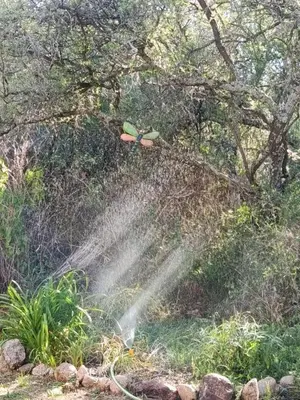 a garden hose spraying water in the grass at Chañar in Villa de Las Rosas