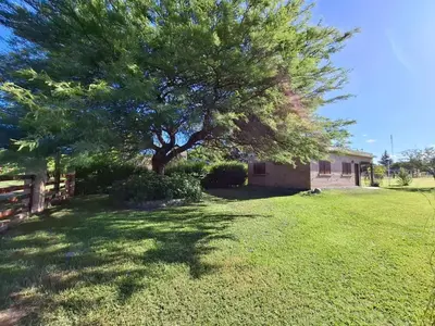 a tree in the yard of a house at Viejo Algarrobo Villa Amancay Calamuchita in Villa Amancay