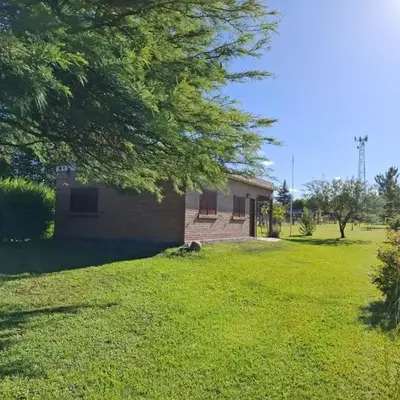 Viejo Algarrobo Villa Amancay Calamuchita