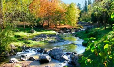 a river with rocks and trees in a field at Cabañas El Mirador in Calmayo