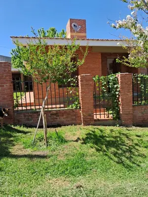 a tree in the grass in front of a building at Marta y Chiche in Mina Clavero