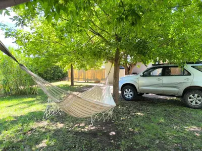 a hammock hanging from a tree next to a car at AlojaMenta in Nono