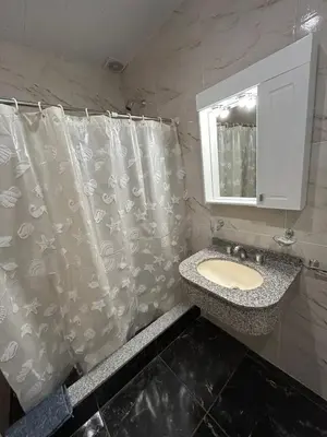 a bathroom with a sink and a shower curtain at El Atardecer in Trapiche