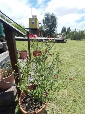 a group of potted plants sitting on a fence at Cabaña UMI - Un Mundo Infinito in Potrero de Garay