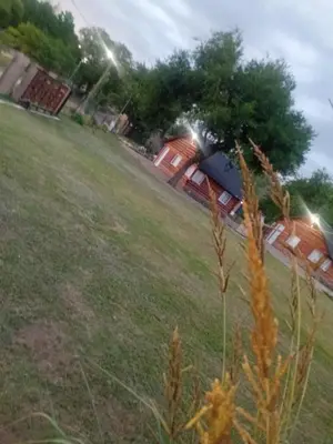 a field of grass with a house in the background at Posta Nativa in Santa Rosa de Calamuchita