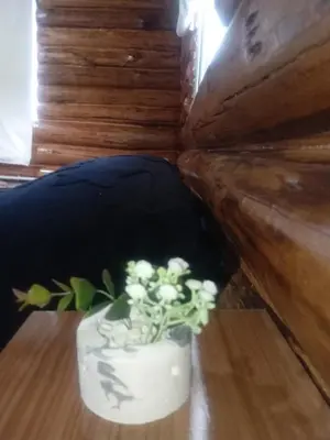a white vase with white flowers on a table at Posta Nativa in Santa Rosa de Calamuchita